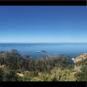 Meet your Posher, Pamela elise